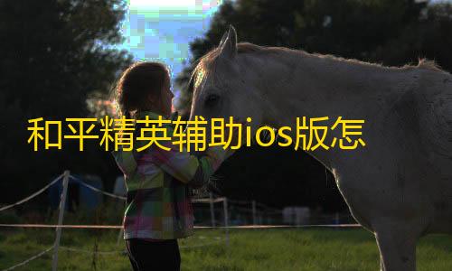 暗区突围透视辅助和平精英辅助ios版怎么打开麦克风