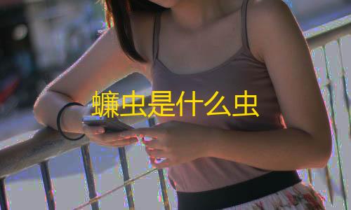 暗区突围外挂透视蠊虫是什么虫